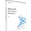 Microsoft SQL Server Standard 2022 English 30 Clt