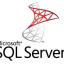 Microsoft SQL Server Standard 2022 English 30 Clt